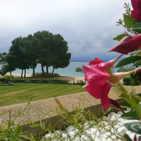 Almadraba * Roses
